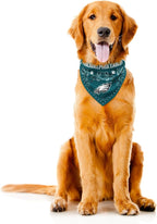 Littlearth NFL Denver Broncos Pet Bandana - Image 3