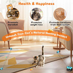 Interactive Cat Toy for Indoor - Image 5