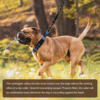 Hikiko Martingale Collar for Dogs Reflective Nylon Dog Collar - Image 4