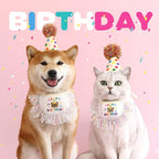 Dog Princess Costumes Puppy Birthday Bandana Scarf and Party Hat Cute Lace Dog - Image 4
