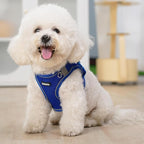 AIITLE Small Harness for Puppy - Image 11