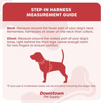 Downtown Pet Supply Step-in Dog Harness – No Pull, Adjustable Padded Mesh - Image 2