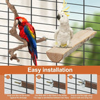 Bird Perch Stand, Pole Standing Natural Wood Bird Perch Set 5PCS Paw Grinding - Image 6
