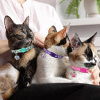 4PCS Breakaway Cat Collars, Reflective Cat Collar - Image 6
