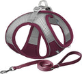 AIITLE Easy Walk Dog Harness and Leash Set by AIITLE-FORPETSBETTERLIFE