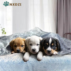 3 Pack Dog Blankets for Small Dogs, Soft Pet Blankets for Cat、Rabbit、Guinea Pig - Image 3