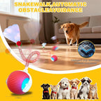 2-Pack Interactive Cat Toys Ball - Image 3
