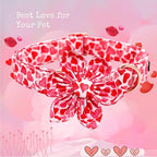Lionheart glory Valentine's Day Dog Collar - Image 3