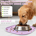 Small Silicone Pet Food Mat - Image 3
