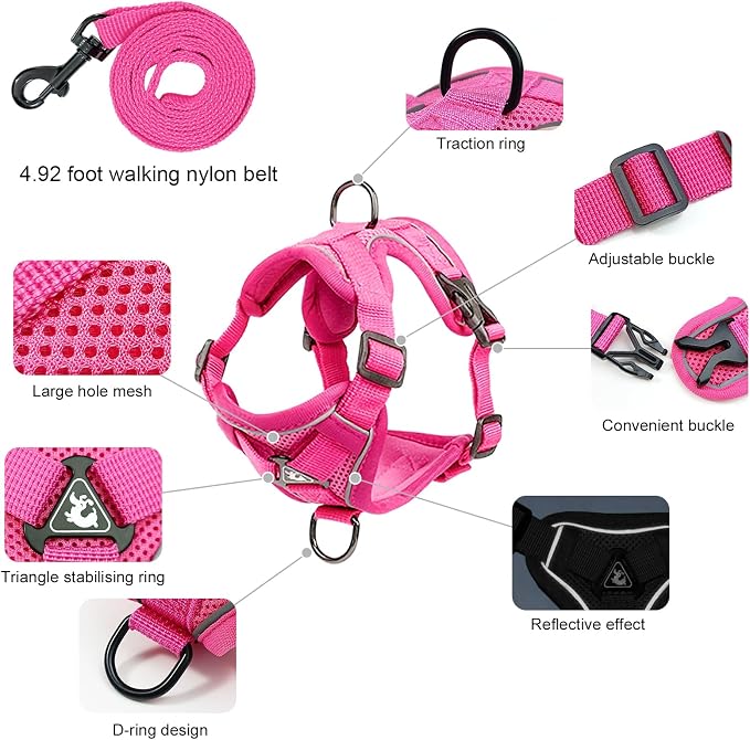 Escape Proof Kitten Harness and Leash Set - Image 2