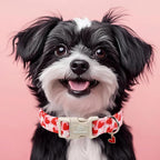 Valentines Dog Collar for Giant Large Dogs - Image 7