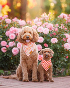 Remy+Roo Large Spring Dog Bandanas - Image 2