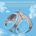 AIITLE Dog Harness, No-Pull Cat Harness - Image 9