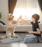 Cooling Mat for Dog Puppy Cat Washable Cooling Pad, Reusable Ice Silk Dog Self - Image 5