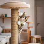 PowerKing Natural Sisal Replacement Scratching Post, 15.7'' 2 Pieces M8 Cat - Image 6