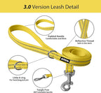 AIITLE Step in Dog Harness and Leash Set - Image 5