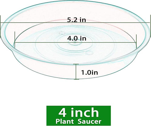 6 Pack Plastic Plant Saucer Water Drip Tray, 4 5 6 7 8 9 10 11 12 inch - Image 2