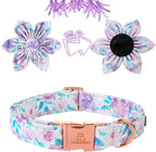 Lionheart Glory Dog Collar - Image 3