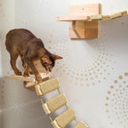 Multi-Functional Cat Ladder & Bridge - Image 3