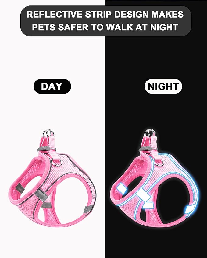 XXXS Blue Soft Mesh Dog Harness and Leash Set, No Escape Puppy Harnesses - Image 3