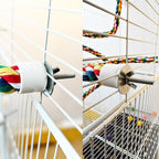 24 Inch Bird Perch Rope - Image 5