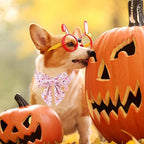 Halloween Dog Collar with Pink Floral Bowtie, Premium Cotton, Sturdy Metal - Image 5