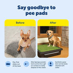 PetSafe Pet Loo Indoor Pet Toilet, Portable Dog Potty Station, Grass Pad Tray - Image 3