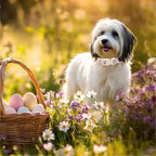 Easter Dog Collar for Large Dogs - Image 5