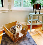 Tallest Disposable Cat Litter Box 15 Trays 2 Trays Litter Box Low Entry - Image 2