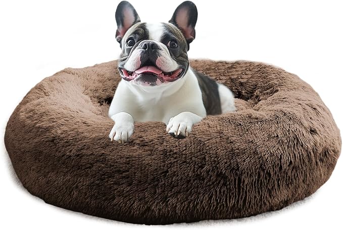 JOLLYVOGUE Calming Dog Bed Medium Size Dog, Anti-Anxiety Donut Medium Pet Bed by JOLLYVOGUE