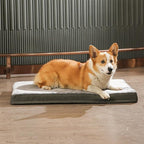 Amazon Basics Washable Dog Bed - Image 9
