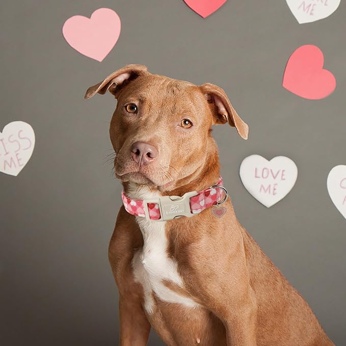 Valentines Dog Collar for Large Dogs - Image 4