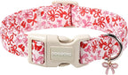 DOGWONG Cute Dog Collar, Girl Female Dog Collars by DOGWONG