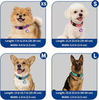 Reflective Dog Collar for Large Dogs - Image 7