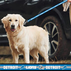 NFL PET Collar Detroit Lions Dog Collar, X-Large Football Team Collar - Image 4