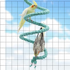 Dnoifne Bird Spiral Rope Perch - Image 3