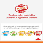 Nylabone Power Chew Antler Alternative Nylon Chew Toy - Image 4