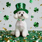 St. Patrick's Day Dog Collar for Medium Dogs - Image 6