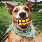 Dog Balls Toys - Squeaky Fetch Rubber Funny Ball Gifts - Image 3