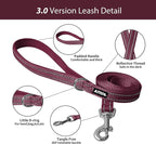 AIITLE Escape Proof Dog Harness - Image 10