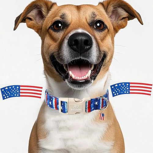 4th of July Dog Collar, Stars & Stripes Patriotic Dog Collars - Image 2