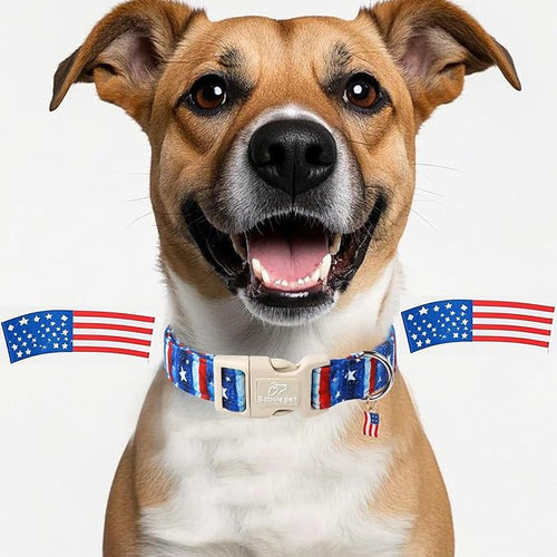 4th of July Dog Collar, Stars & Stripes Patriotic Dog Collars - Image 2