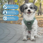 Best Pet Supplies - Image 2