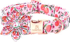 Lionheart Glory Pink Peach Dog Collar by LionheartGlory