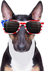 24 Pieces Sublimation Pet Bandanas White Heat Transfer Triangle Dog Scarf Blank - Image 6
