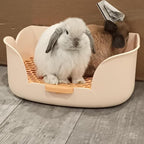 15.1"X11.0" Large Rabbit Litter Box, Plastic Square Rabbits Potty Trainer - Image 3