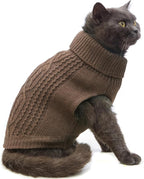 Stretchy Cat Sweater - Image 3
