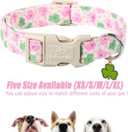 St Patricks Day Dog Collar for Large Dogs - Image 6