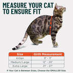 Houdini™ Escape Proof Cat Harness and Leash Set by OutdoorBengal – Orange - Image 5