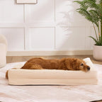 Dog Bed Large Sized Dogs, XXL Orthopedic Dog Bed - Image 7